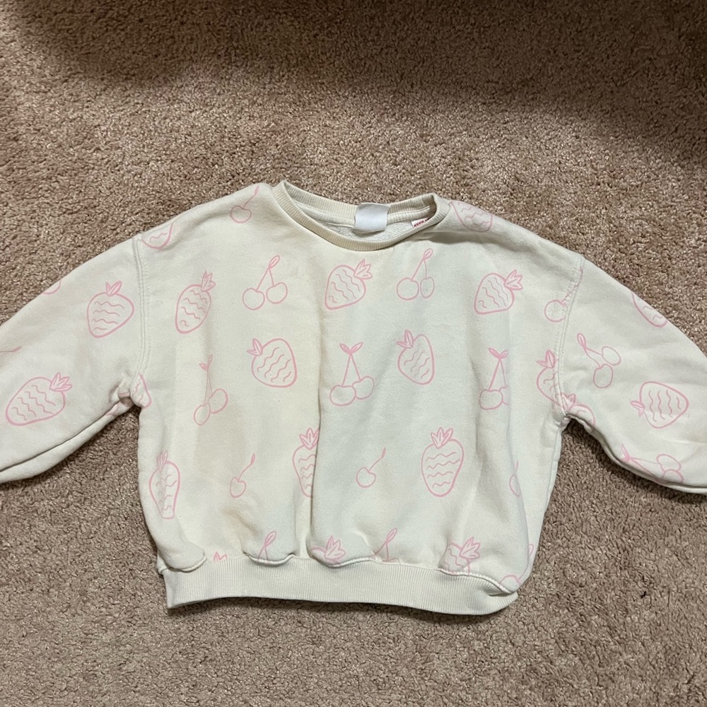Zara girl sweat shirts